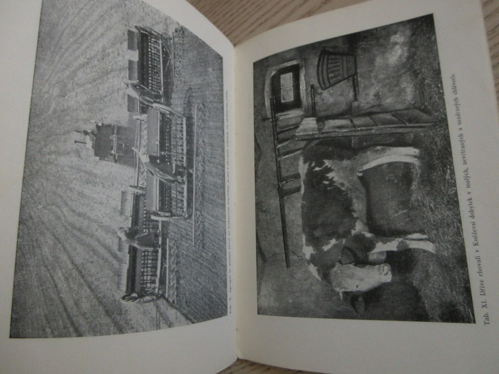 BIOLOGIE, UČEBNÍ TEXT PRO ČTVRTOU TŘÍDU STŘEDNÍCH ŠKOL, 1952, **an