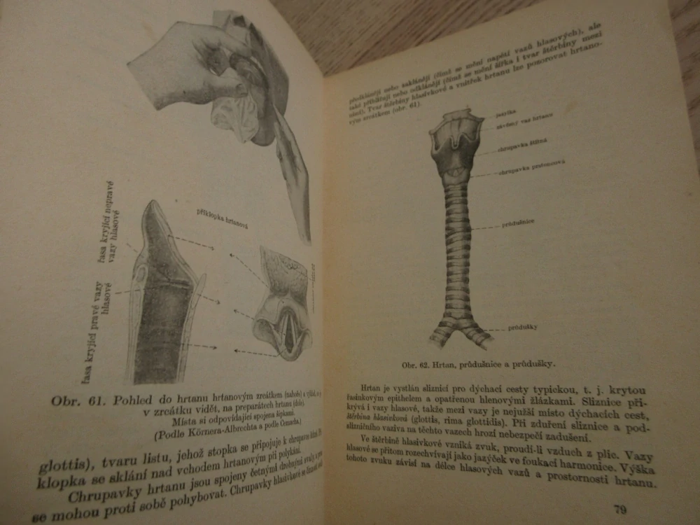 ANATOMIE, UČEBNÍ TEXT PRO ZDRAVOTNICKÉ ŠKOLY, 1954, **an