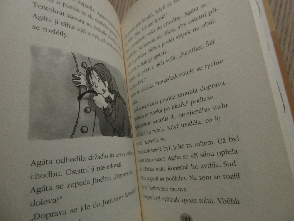 UKRADENÝ OBRAZ, GERIT KOPIETZOVÁ, JÖRG SOMMER, **an