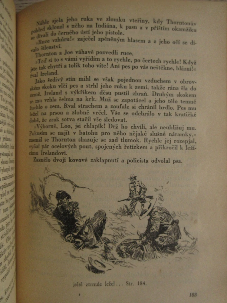 V TÁBOŘE POD MALNOVOU HOROU, FRANTIŠEK LEV, 1947, **an
