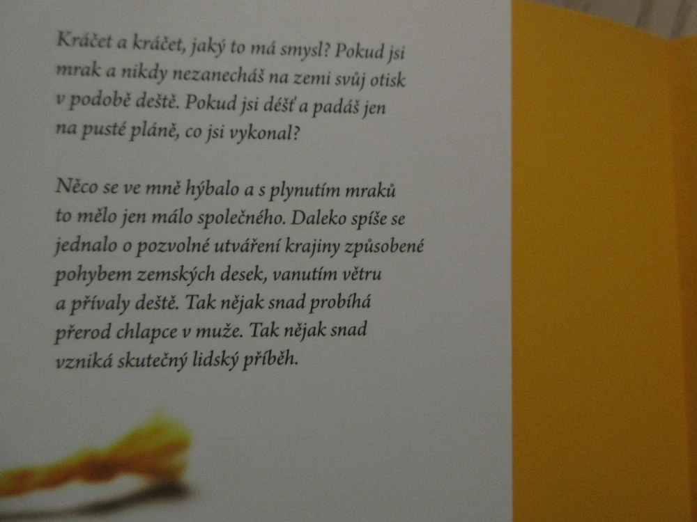 PLYŠOVÝ BUDDHA, MICHAL ČAGÁNEK, **an