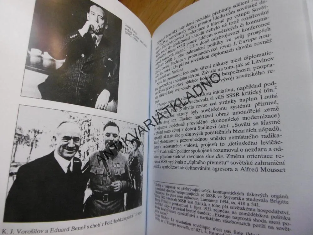 STALINOVI DIPLOMATÉ V EVROPĚ, 1930-1939, SABINE DULLINOVÁ