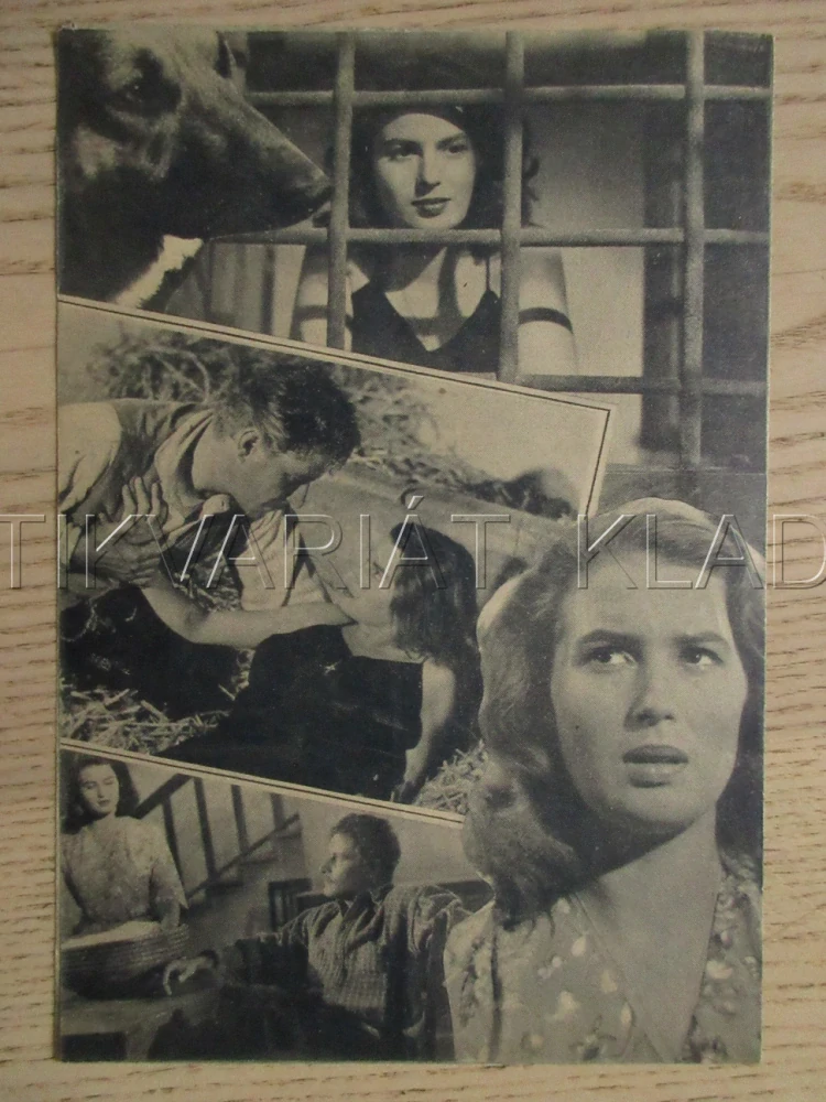 IL LUPO DELLA SILA, S. MANGANO, V. GASSMANN, A. NAZZARI, FILM IT, FILM KURIER VBŠ Č. 949