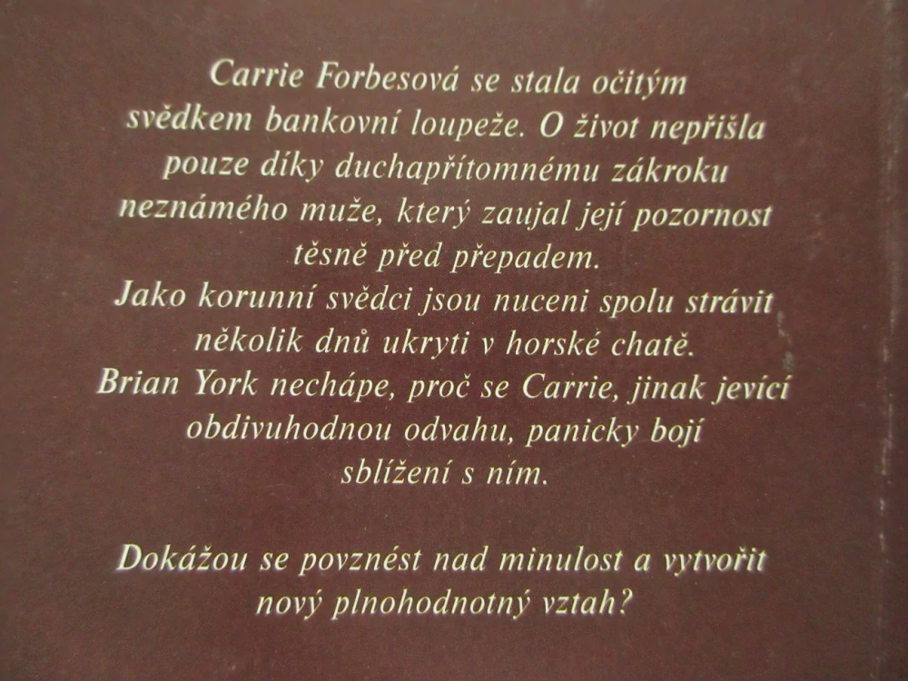 VSTŘÍC SVÉMU ŠTĚSTÍ, LAURA TAYLOR, **an
