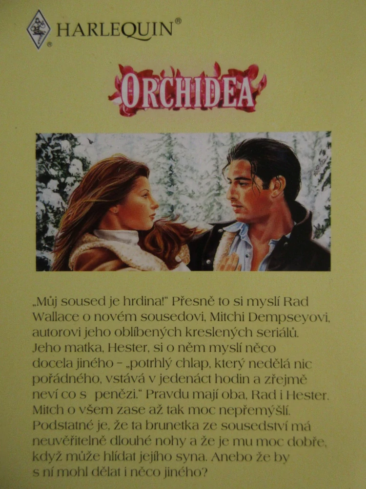 HRDINA ZE SOUSEDSTVÍ, NORA ROBERTSOVÁ, **an