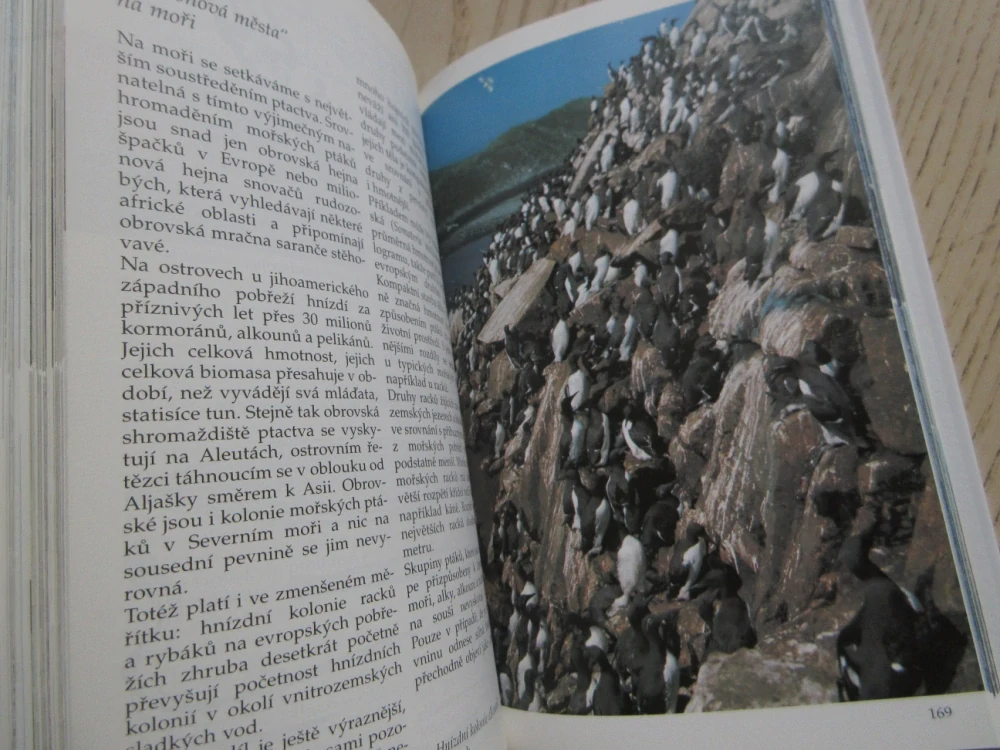 MOŘE A POBŘEŽÍ, PRŮVODCE PŘÍRODOU, JOSEF REICHHOLF, KLAUS JANKE, BRUNO P. KREMER, **an