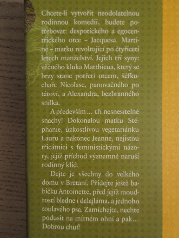 SNACHY ZA VŠECHNY PRACHY, AURÉLIE VALOGNESOVÁ, **an