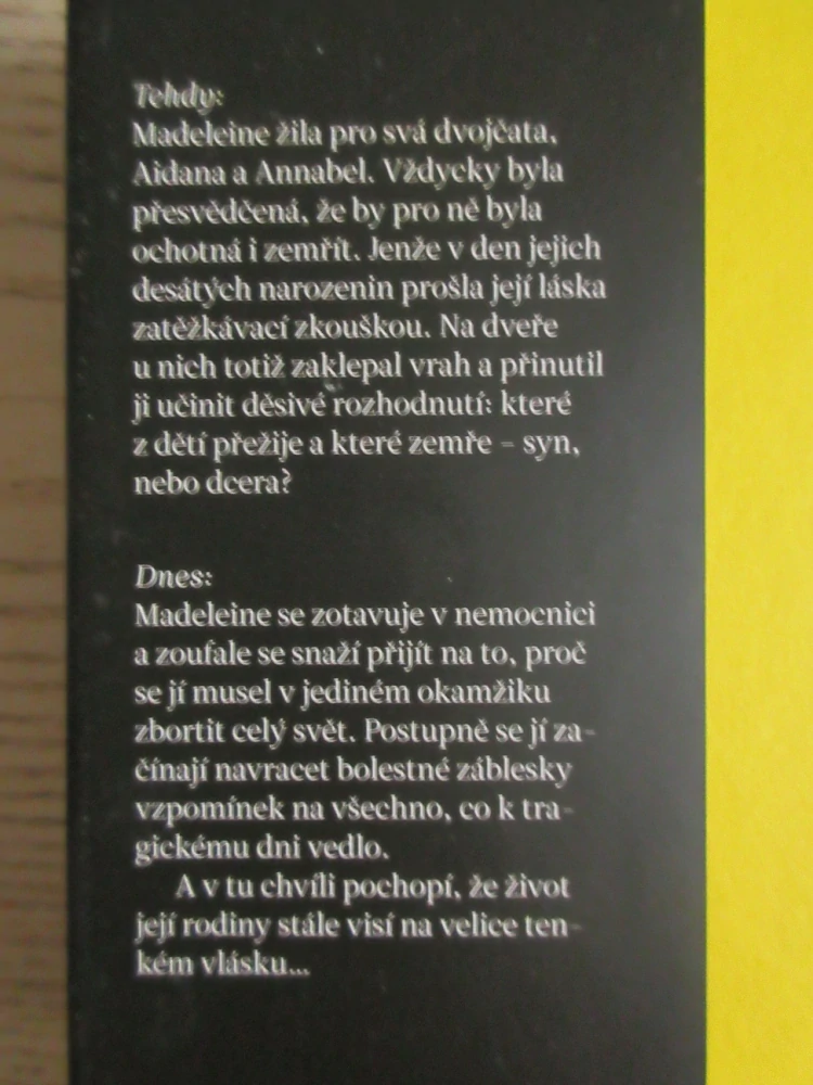 MATČINA VOLBA, SAMANTHA KINGOVÁ, **an