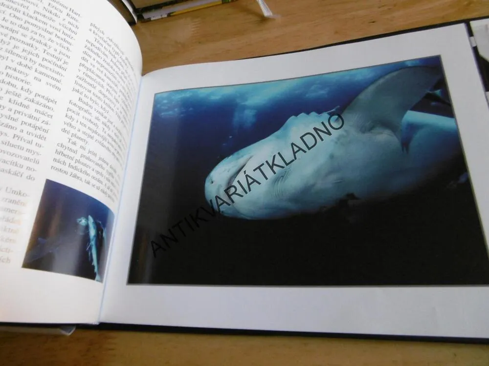 TIGER SHARK, HYENA MOŘÍ, RICHARD JARONĚK, + 2 DVD
