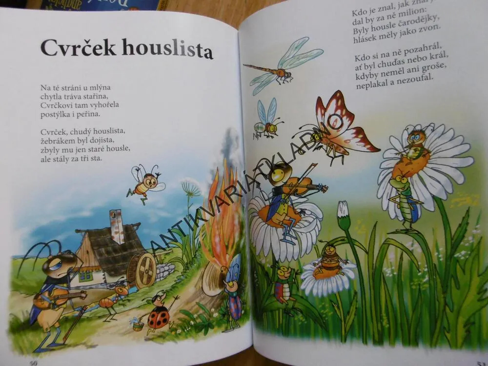 POHÁDKA LESA, KOŽÍŠEK, ŠPLÍCHAL