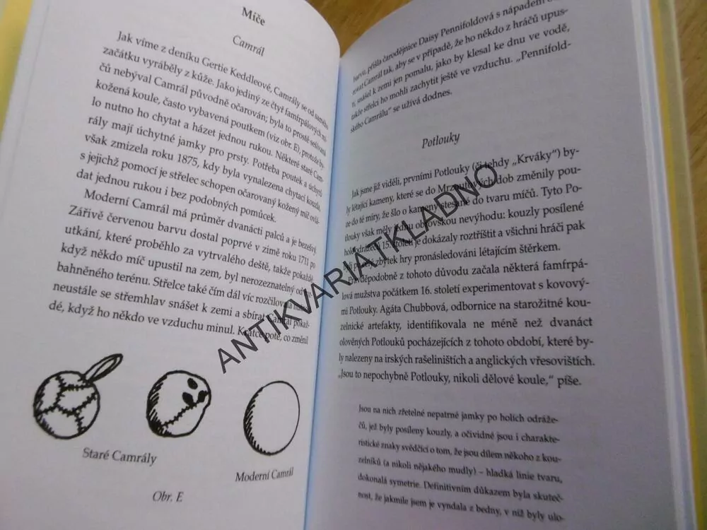 FAMFRPÁL V PRŮBĚHU VĚKŮ, KENNILWORTHY WHISP, BRADAVICE,