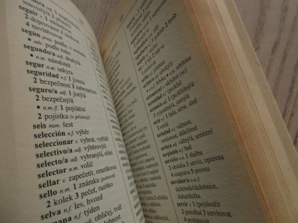 ŠPANĚLSKO-ČESKÝ, ČESKO-ŠPANĚLSKÝ SLOVNÍK SE ZÁKLADY GRAMATIKY, **an
