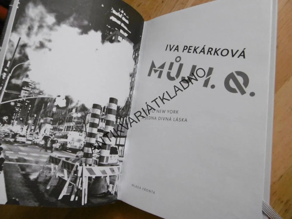MŮJ I.Q., MĚSTO NEW YORK A JEDNA DIVNÁ LÁSKA, IVA PEKÁRKOVÁ, **an