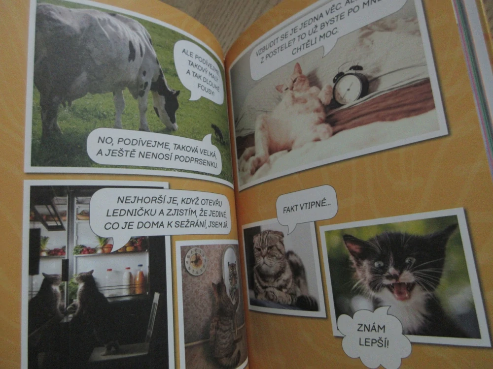 VTIPY PRO DĚTI, HLODY SE ZVÍŘATY, **an