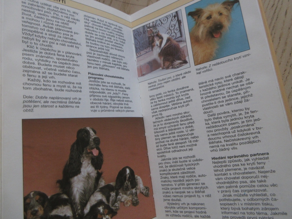 VÁŠ PES A ŠTĚŇÁTKO, PRAKTICKÁ PŘÍRUČKA, ANDREW EDNEY, ROGER MUGFORD, **an