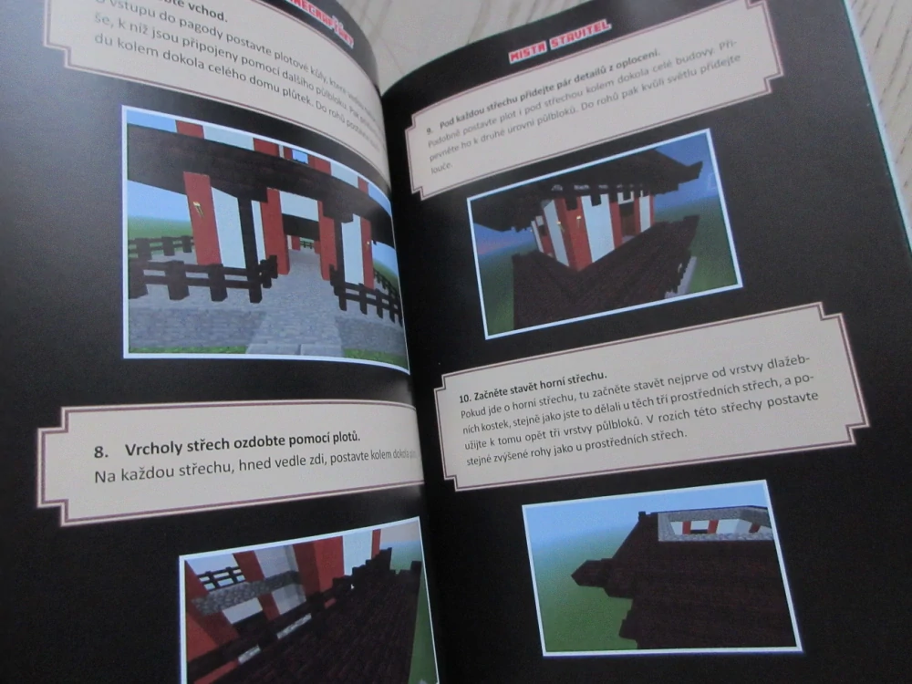 TAJNÉ TRIKY PRO MINECRAFŤÁKY, MISTR STAVITEL, MINECRAFT, **an