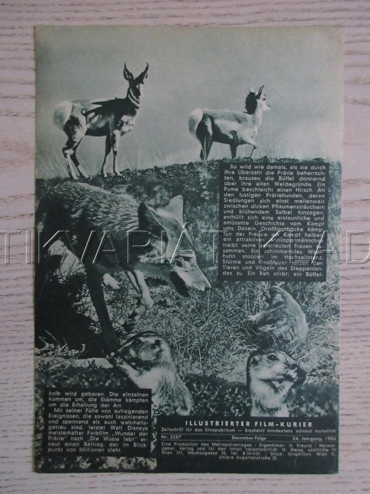 ŽIVOUCÍ POUŠŤ 2, WUNDER DER PRÄRIE, WALT DISNEY, BIO PROGRAM ČŠ-2 Č. 27