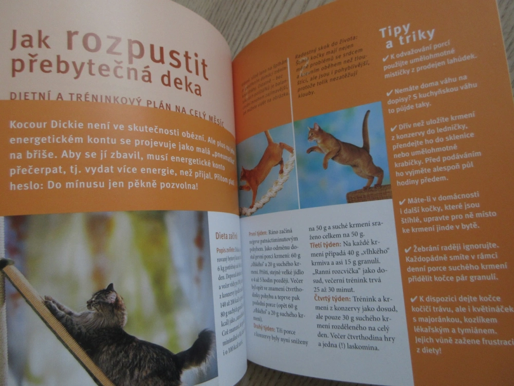 KOČKA S NADVÁHOU - JAK NA PŘEBYTEČNÁ DEKA, BRIGITTE EILERT-OVERBECK, **an