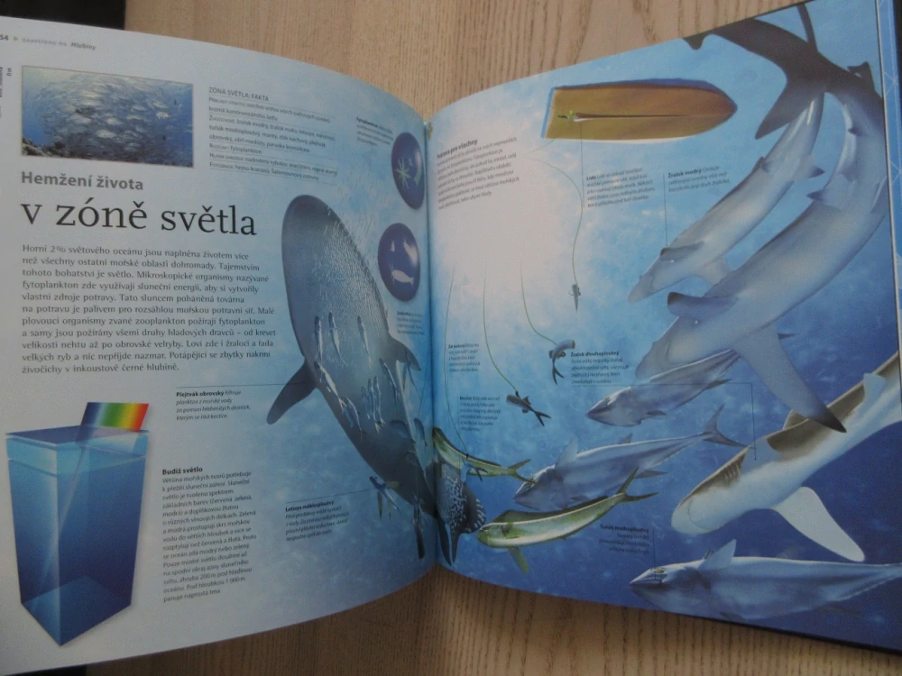 OCEÁNY, NA VLASTNÍ OČI, BEVERLY MCMILLANOVÁ, JOHN A. MUSICK, **an