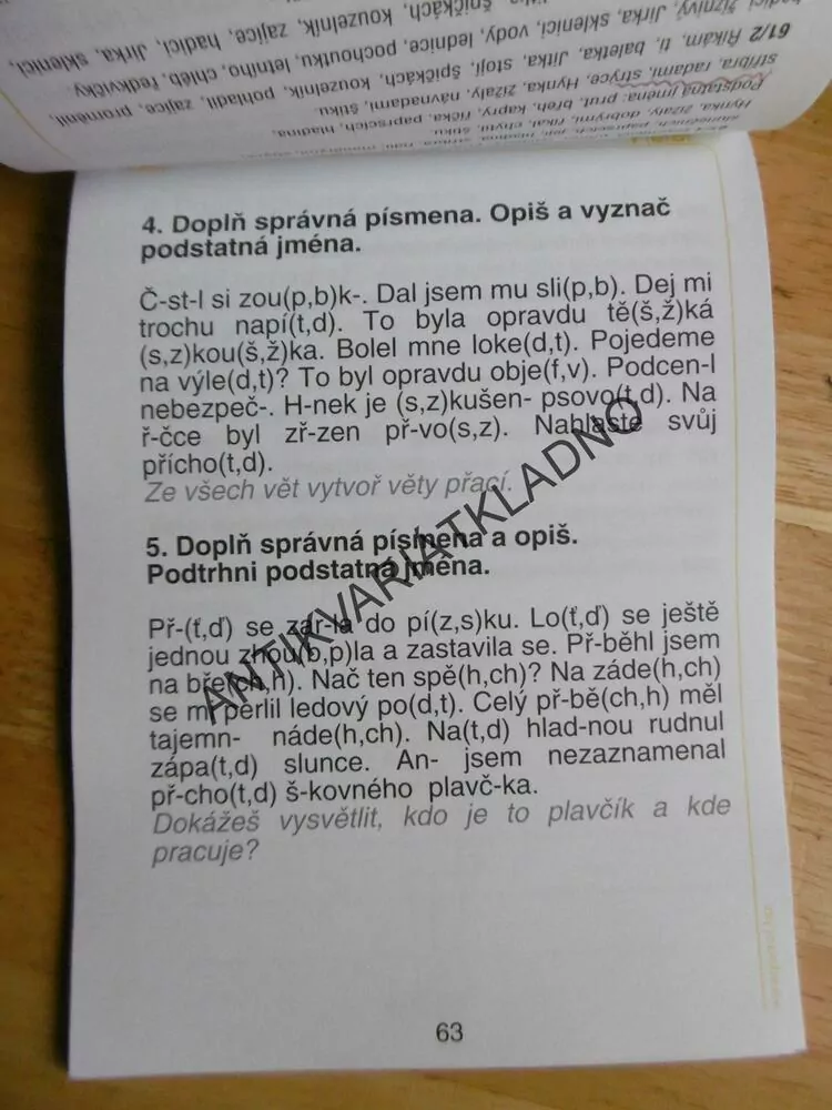 DOMÁCÍ PROCVIČOVÁNÍ ČESKÝ JAZYK 2. TŘÍDA