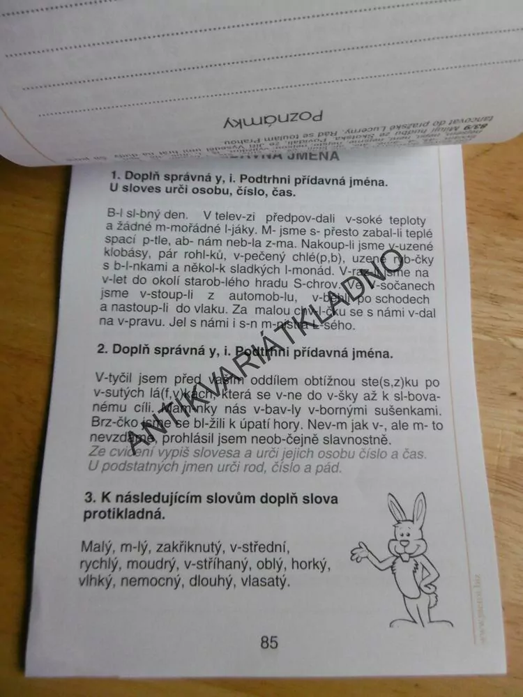 DOMÁCÍ PROCVIČOVÁNÍ ČESKÝ JAZYK 3. TŘÍDA