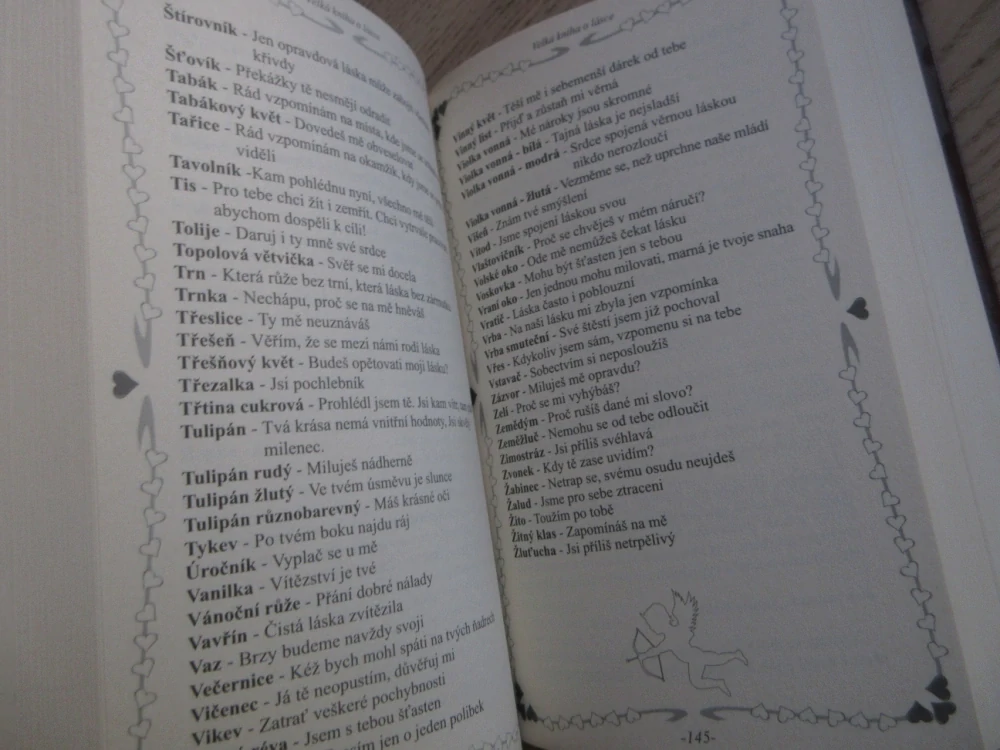 VELKÁ KNIHA O LÁSCE, KOLEKTIV AUTORŮ, **an