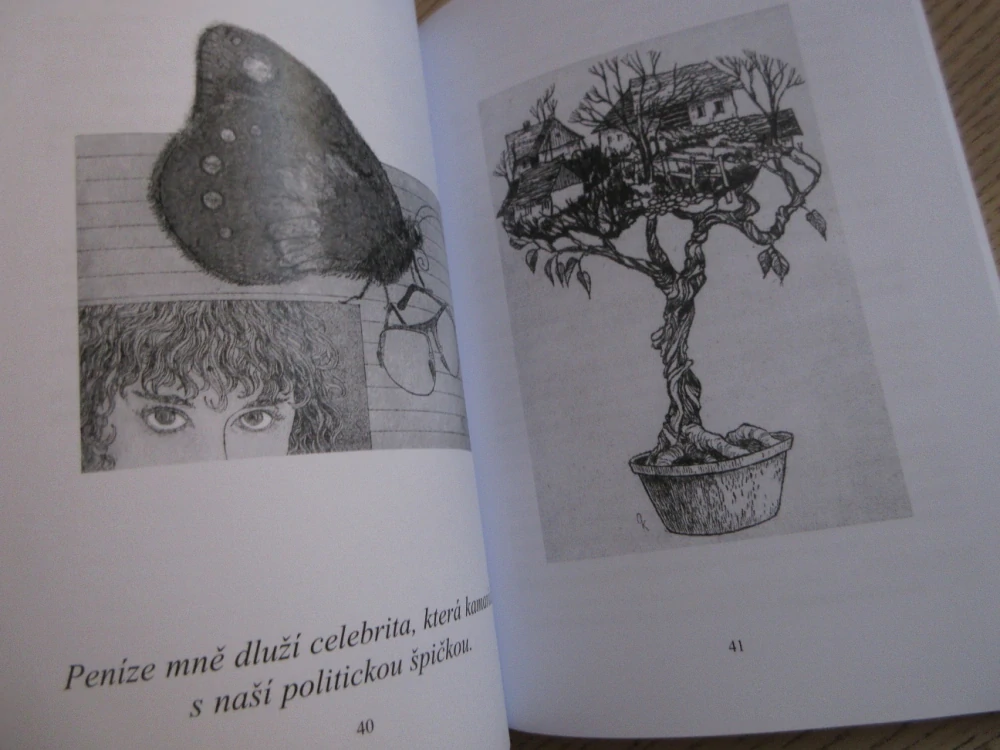 ČEHO SE NIKDY NEVZDÁTE?, DAGMAR GAYEROVÁ, **an