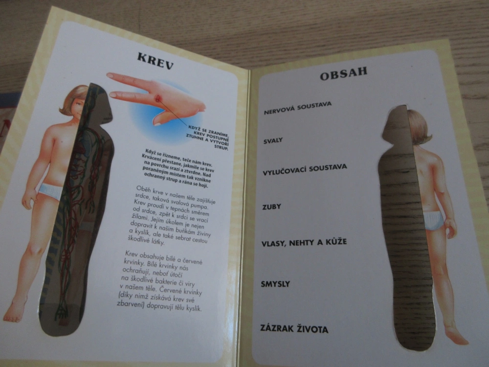 CO SKRÝVÁ NAŠE TĚLO, **an