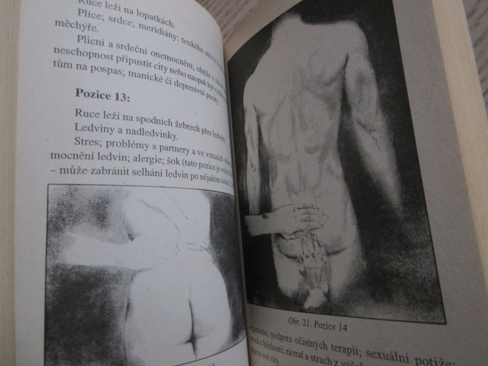 ZÁKLADNÍ KNIHA O REIKI, WALTER LÜBECK, **an