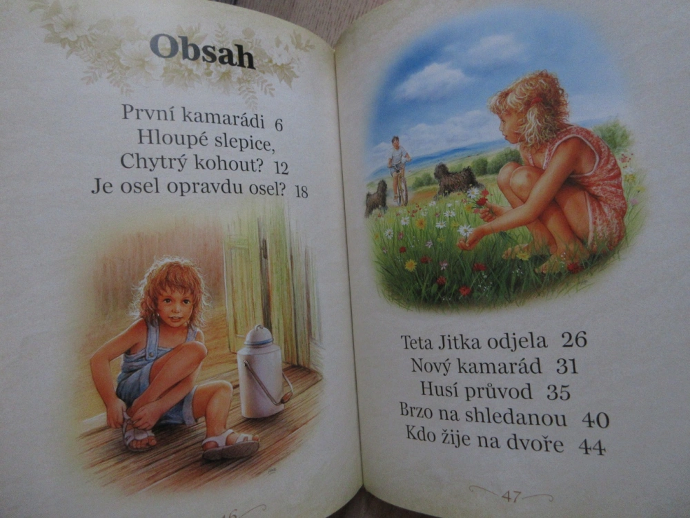 PŘÍBĚHY Z NAŠEHO STATKU, **an