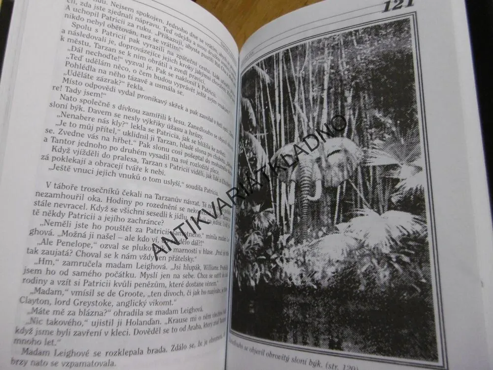 TARZAN A ZTRACENCI,24., DOBRODRUŽSTVÍ LORDA GREYSTOKA, EDGAR RICE BURROUGHS