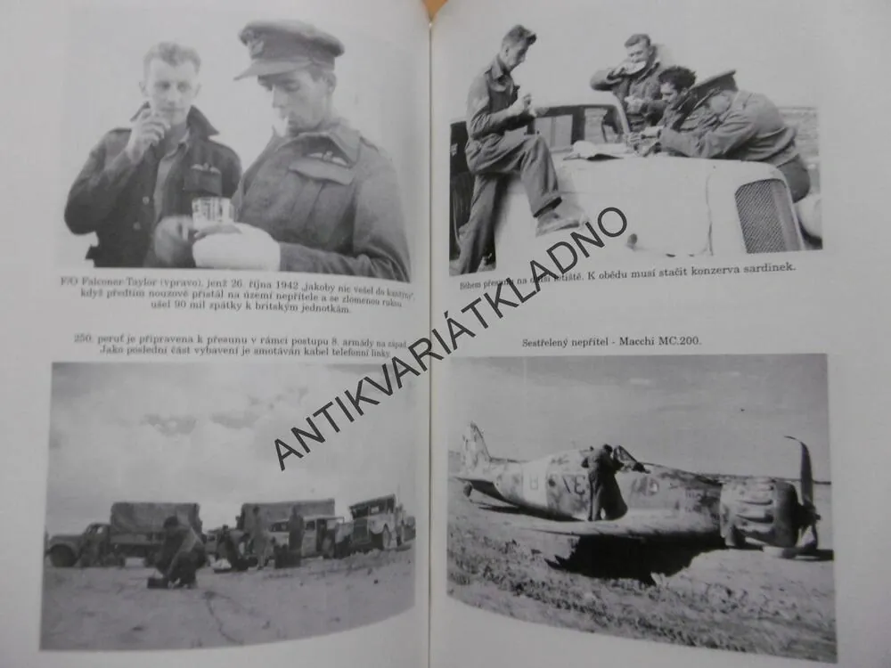 POUŠTNÍ ORLI, HUMPHREY WYNN, **an