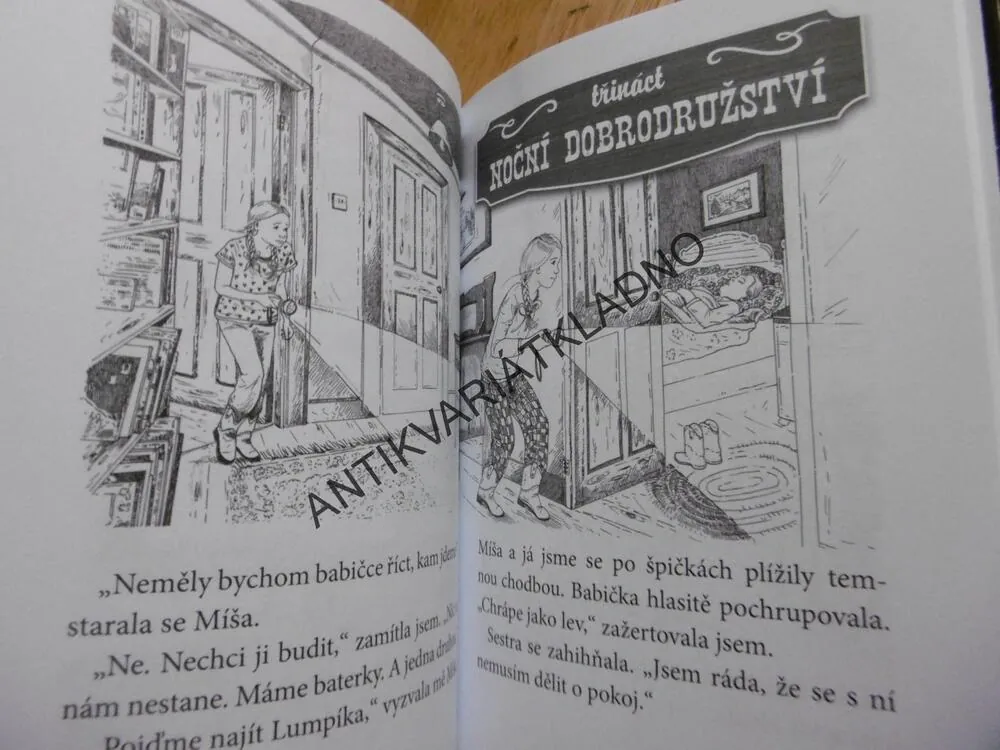 RANČ STŘÍBRNÝ PONÍK, HVĚZDA, D.L. GREENOVÁ, **an