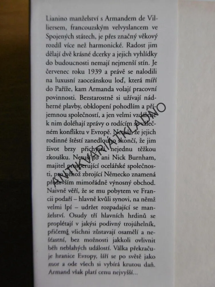 KŘIŽOVATKY, DANIELLE STEEL, **an