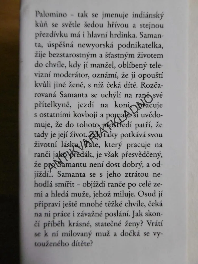 PALOMINO, DANIELLE STEEL, **an