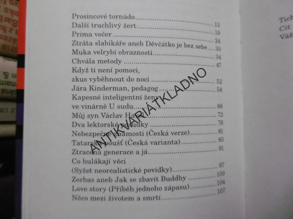 NÁPADY LASKAVÉHO ČTENÁŘE, MICHAL VIEWEGH