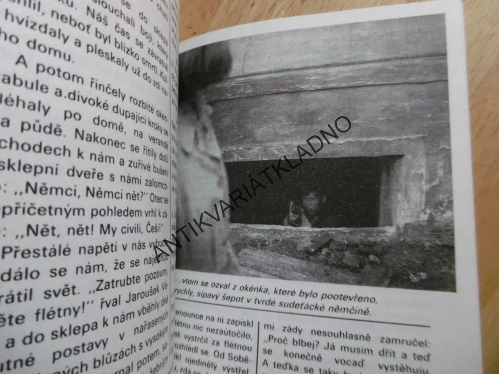 MALÝ MUŽ A VELKÁ ŽENA ANEB VLAK DĚTSTVÍ A NADĚJE, VĚRA SLÁDKOVÁ, FOTO FILM, **am