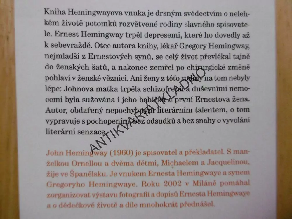 HEMINGWAYOVÉ, SKRYTÁ TVÁŘ JEDNÉ RODINY, JOHN HEMINGWAY