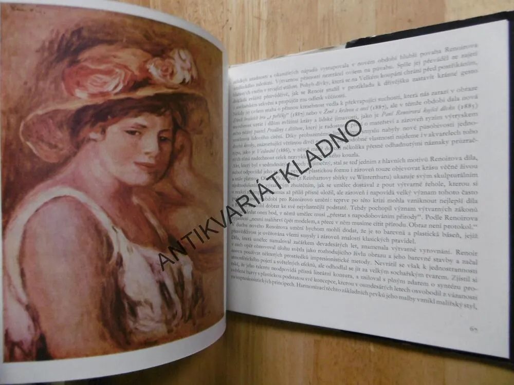 MALÁ GALERIE - AUGUSTE RENOIR, VÝTVARNÉ UMĚNÍ, **an