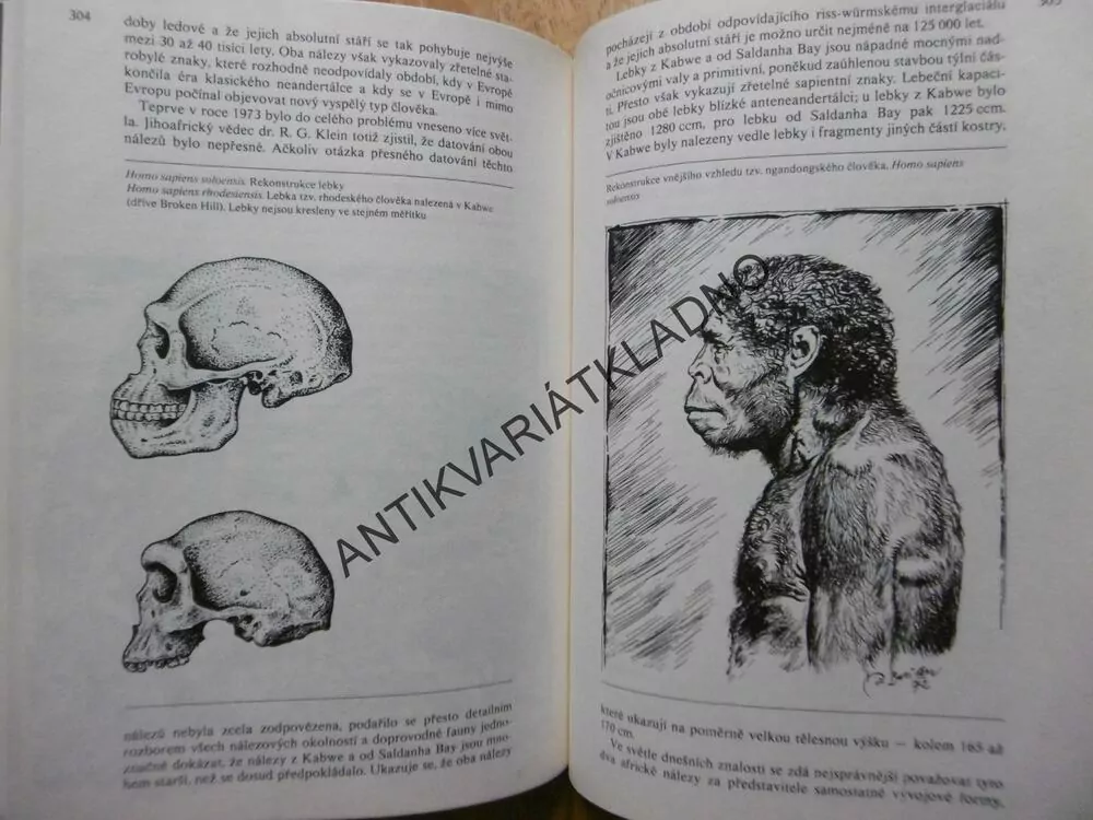 JAK VZNIKL ČLOVĚK, MAZÁK, BURIAN, SÁGA RODU HOMO, **an