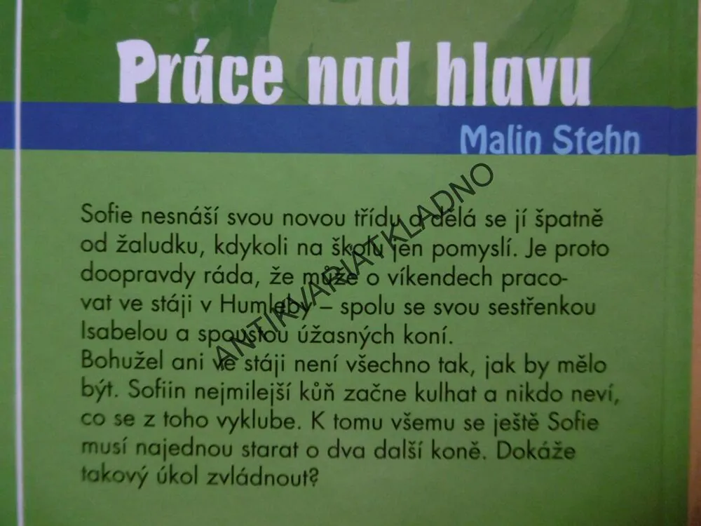 PRÁCE NAD HLAVU, MALIN STEHN, **an