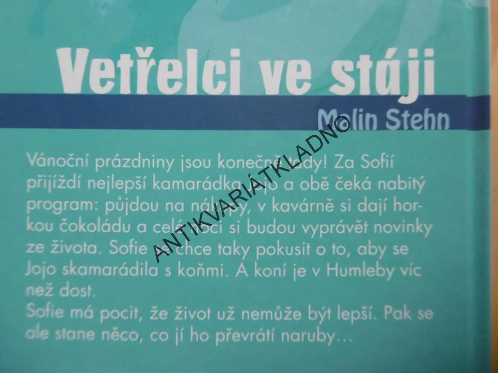 VETŘELCI VE STÁJI, MALIN STEHN, 