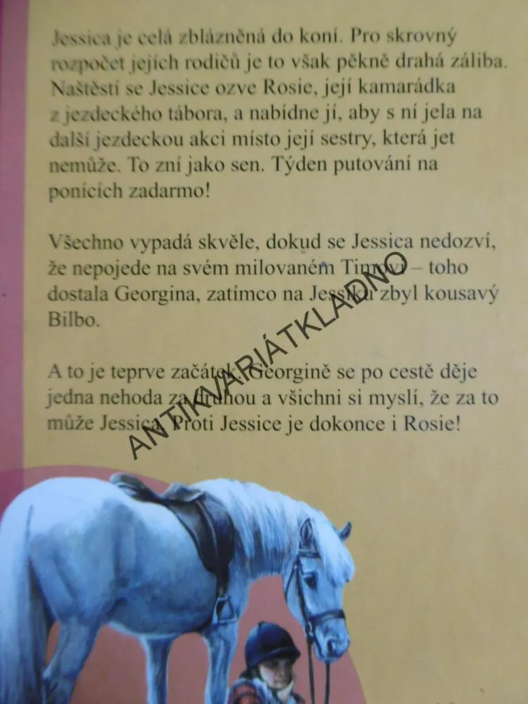 ZNOVU V KOŇSKÉM SEDLE, GILL MORRELL
