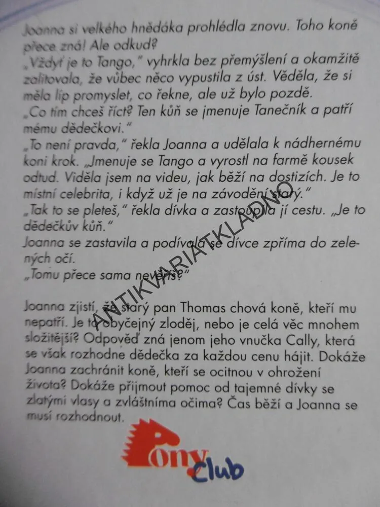 STŘÍBRNÝ SEN, ANGELA DORSEY, **an
