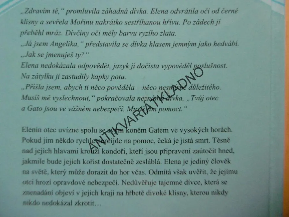 ZAJATCI KONDORŮ, ANGELA DORSEY, **an