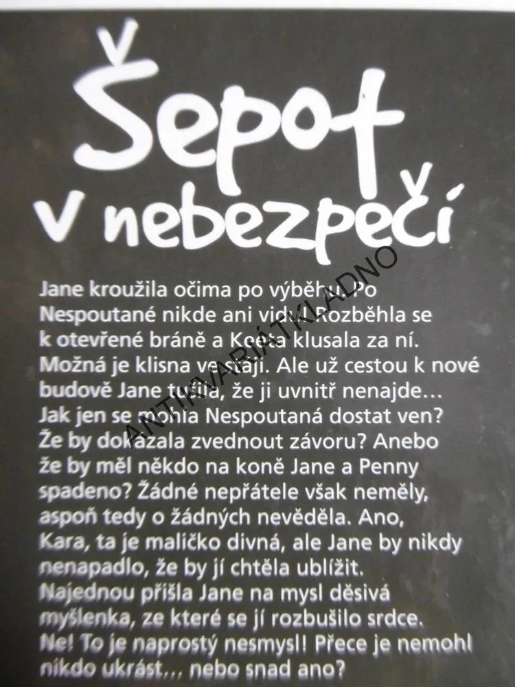 ŠEPOT V NEBEZPEČÍ, ANGELA DORSEY, **an
