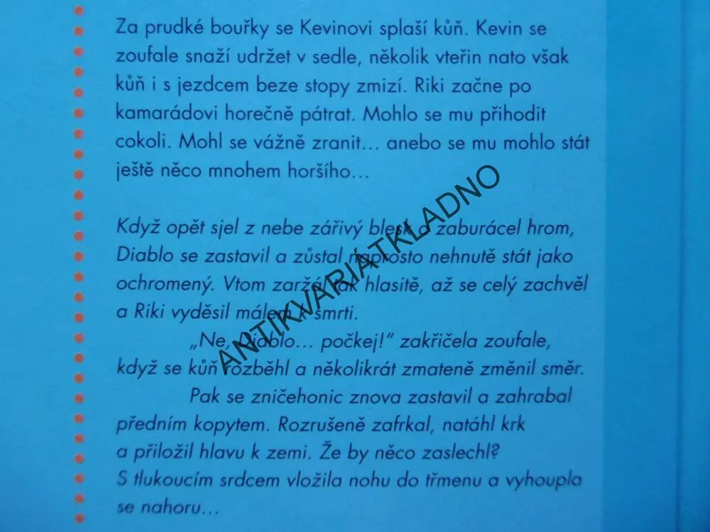 HRDINA NOCI, GABI ADAM, **an