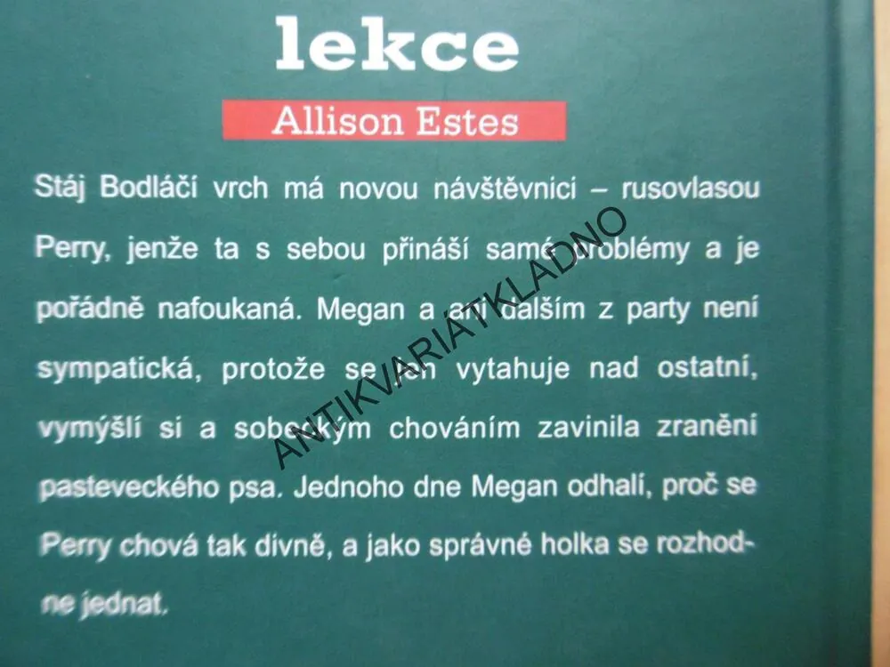TVRDÁ LEKCE, ALLISON ESTES