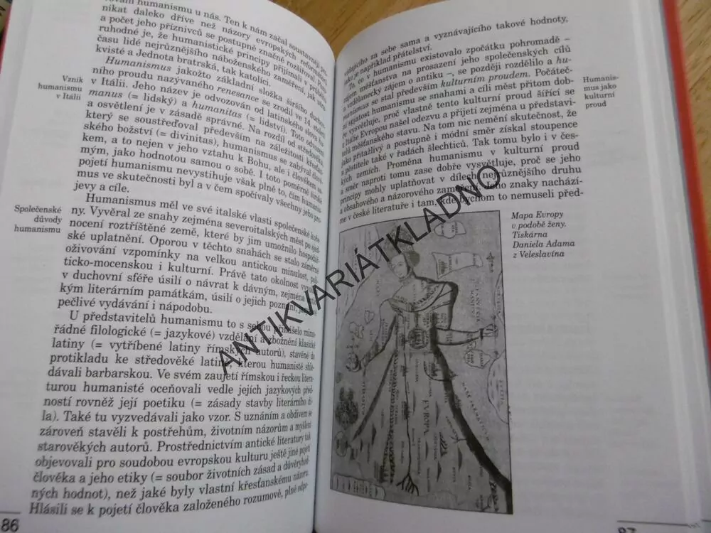 ČESKÁ LITERATURA VE ZKRATCE, 1, SVOZIL, 