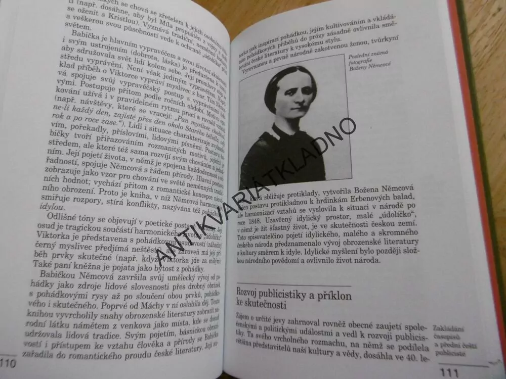 ČESKÁ LITERATURA VE ZKRATCE, 2, SVOZIL, 